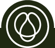 HANAMATSU